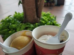 -哈根达斯(天河城店)