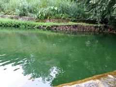 -成都市活水公园