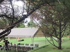 -尚庄度假村·庭台树下·户外烧烤·团建CS·轰趴营地(上庄水库店)