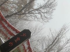 -少林寺欢喜地素斋馆