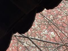 -钱王祠