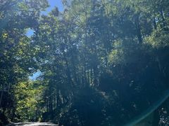 -洛阳白云山景区