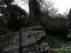 -山王坪喀斯特国家生态公园
