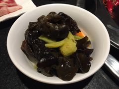 -董家湾重庆老火锅(嘉华店)