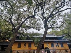 -普陀山风景名胜区-法雨禅寺