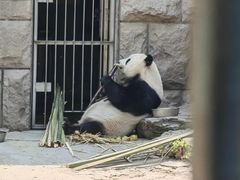 -动物园(地铁站)
