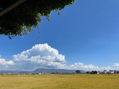 -喜林苑·稻田餐厅(品相府店)