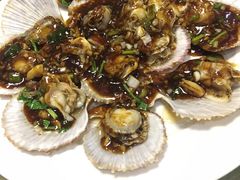 蚝油扇贝-华春餐馆(鱼山路店)