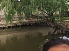 -绮园景区