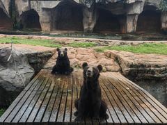 -海南热带野生动植物园