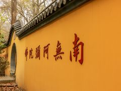 -灵谷景区