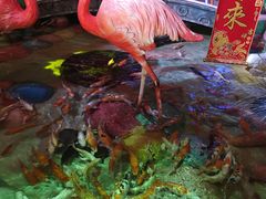 -太奥幻太奇海洋馆