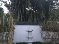 -镇江市南山风景名胜区竹林景区