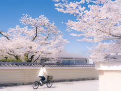 -重八牛府(花乡奥莱店)