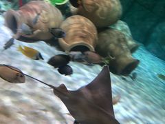 -沈阳海洋探索中心