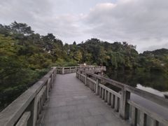 -花溪公园
