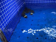 -香山湖渔家大院