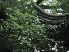 -汇龙潭