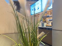 -蜜桃餐厅·伴山(绿宝广场店)