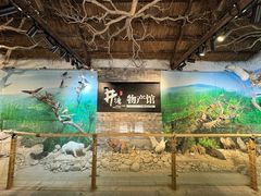 -井塘古村