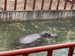 -青藏高原野生动物园