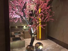 -爱乐国际温泉水疗会
