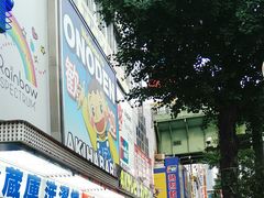 -秋叶原电器街