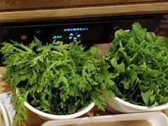 茼蒿-捞三国火锅(吾悦广场店)