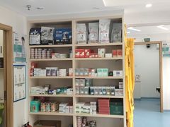 -博特宠物医院24h犬猫全科.骨科·异宠
