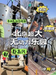 -酷酷兔少儿拓展天地