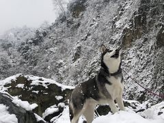 -九峰山