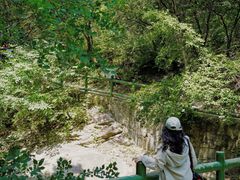 -少华山国家森林公园