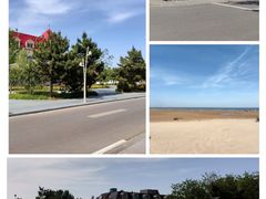 -日照海滨国家森林公园