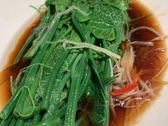 白灼瓜尖-初蓉丨遇见新川菜(亲贤街荣耀店)