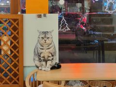 大堂-猫友咖啡店(玉林西路店)