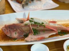 -舌尖上·霞浦滩涂海鲜·新闽菜(总店)