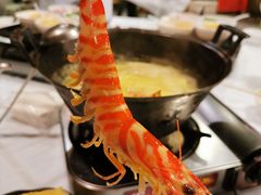 -鲜入围煮花胶鸡海鲜火锅