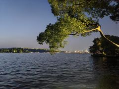 -浙江西子宾馆·瑶园咖啡厅