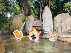 -海口观澜湖火山温泉谷