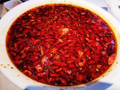 -煜丰汴京烤鸭(福彩路店)
