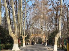 -灵谷景区