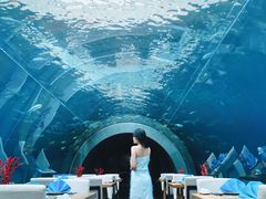 -涛·海底餐厅·美人鱼·自助餐·海底隧道(三亚海棠湾洲际度假酒店)
