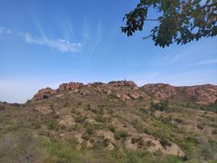 -红山国家森林公园