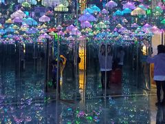 -梵高星空艺术馆(北京旗舰店)
