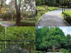 -徐家汇源景区-衡山公园