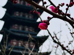 -上海方塔园