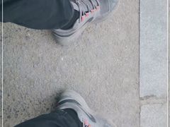 -宝发园名菜馆