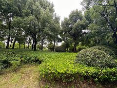 -石湖景区