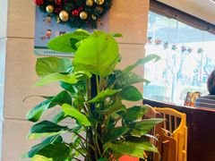 -天伦松鹤大饭店·欣妮咖啡