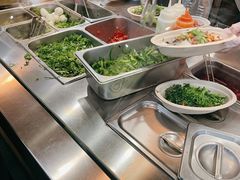 -油梨树 AVOCADO TREE(亮马桥店)